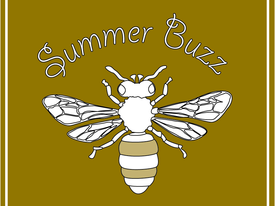 Summer Buzz