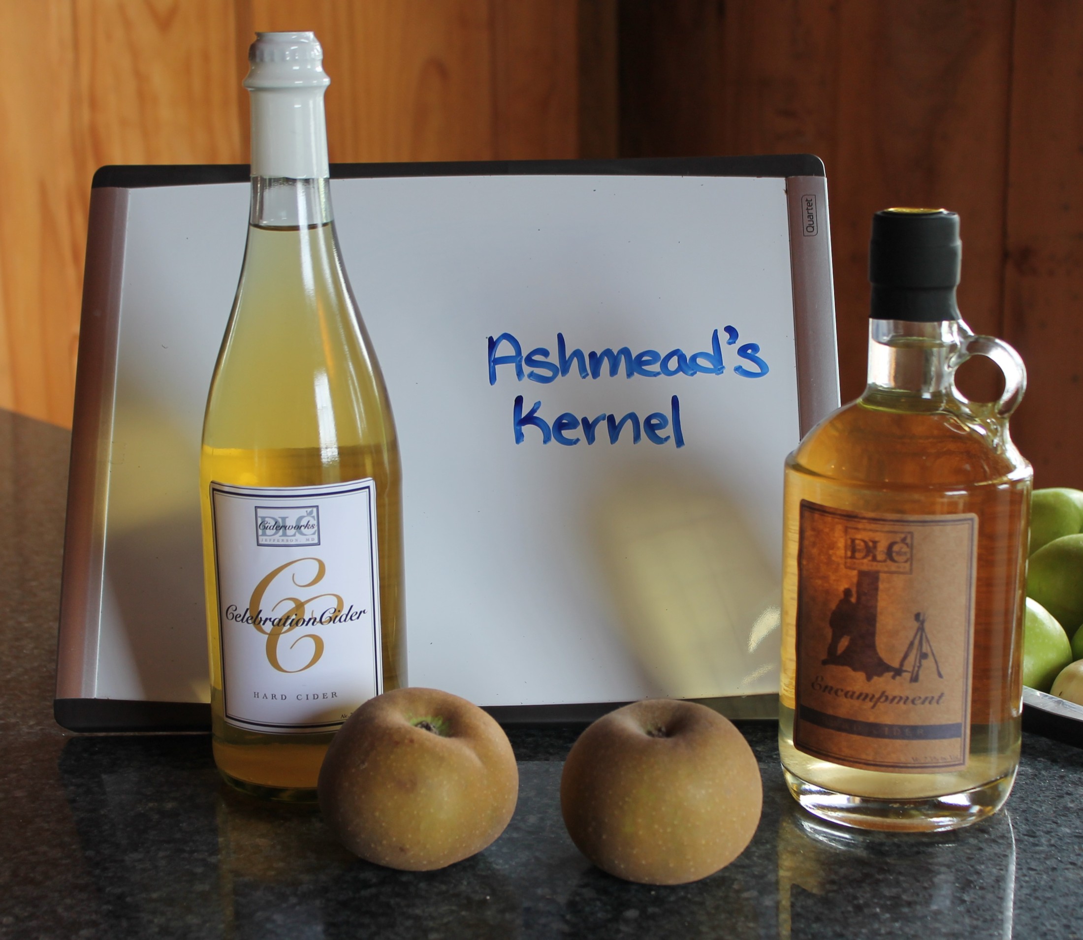 Ashmead’s Kernel